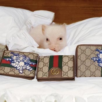 Прасенца позират за Gucci