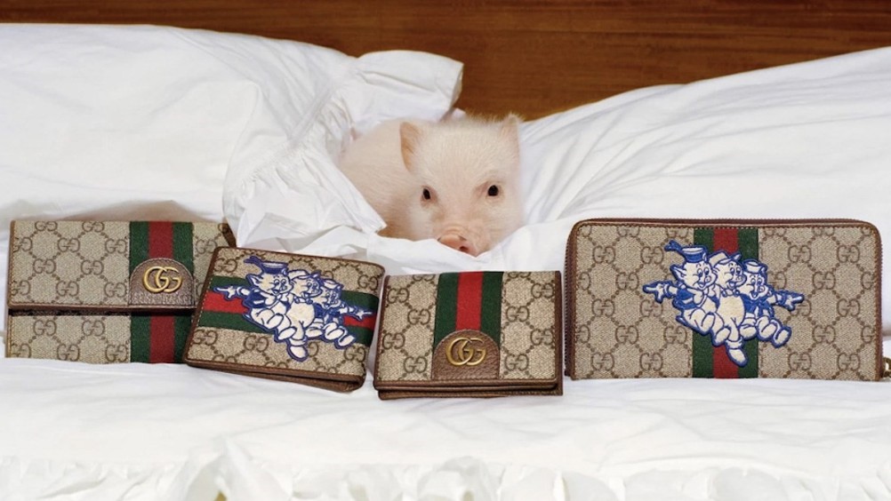 Прасенца позират за Gucci