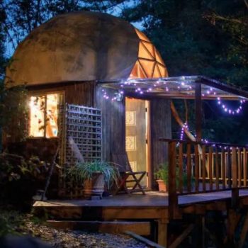 Тази малка къщичка в гората е най-популярният имот в Airbnb