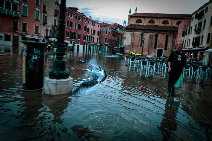 Наводнената Венеция е тъжна, тиха и сюрреалистично красива
