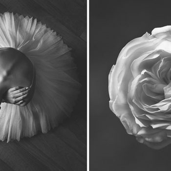 Черно-бяла пролет: Красота, която успокоява душата