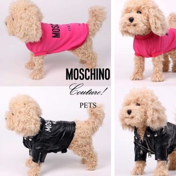 Moschino Couture Pets: Най-очарователната модна колекция на месеца