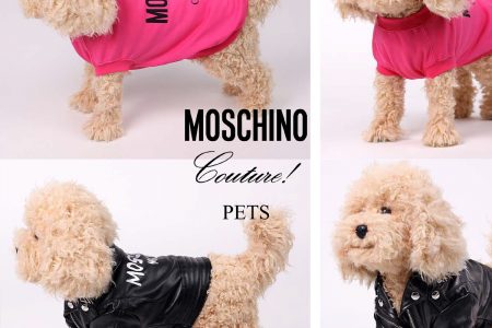 Moschino Couture Pets: Най-очарователната модна колекция на месеца