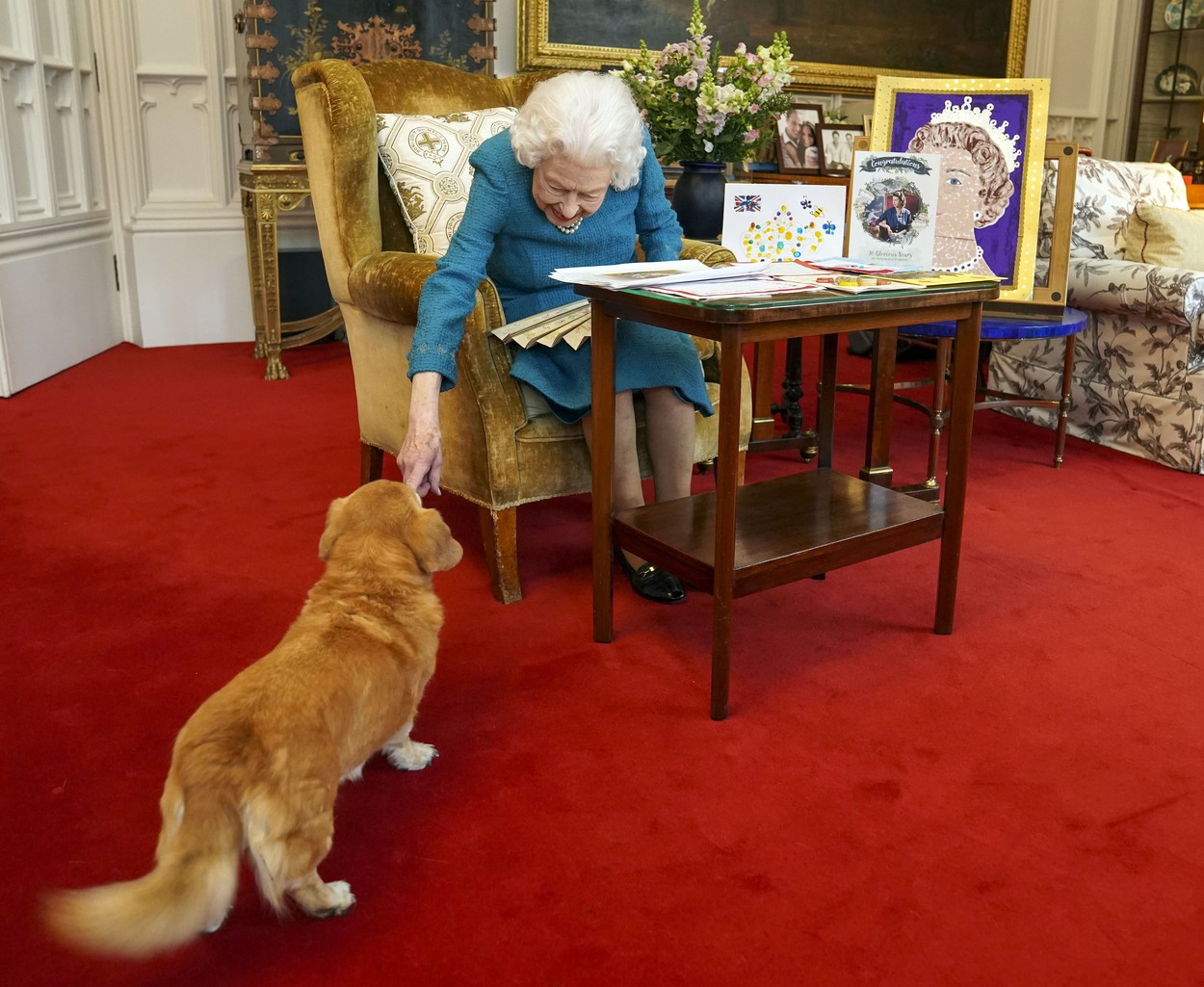 Елизабет обичаше животните и абсолютно обожаваше кучетата.