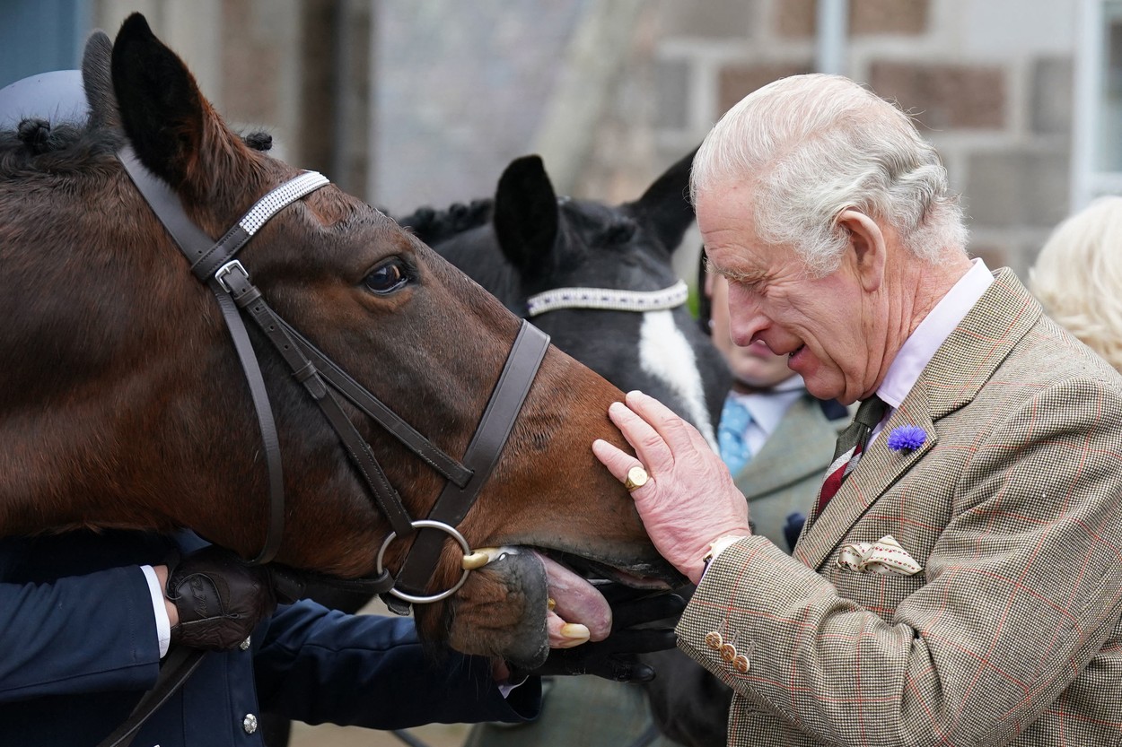 Чарлз III продава любимите коне на кралица Елизабет II