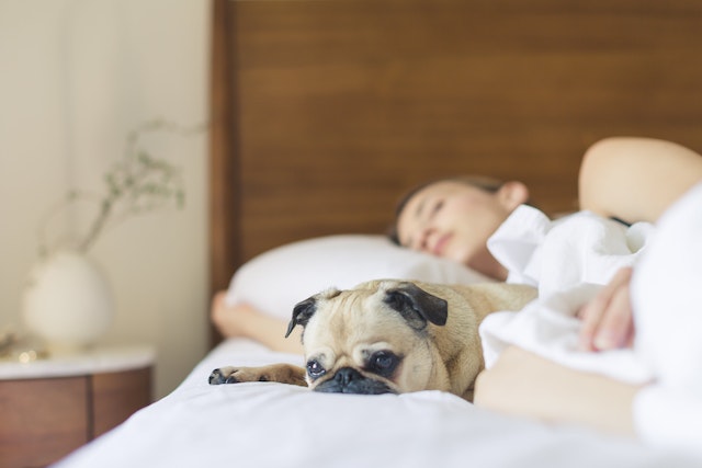 Какво може да причини прекомерният сън на тялото ни?